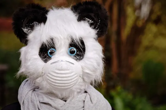 9 カジノ サポート